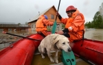 Poplave u Sibiru / Foto: Profimedia.rs