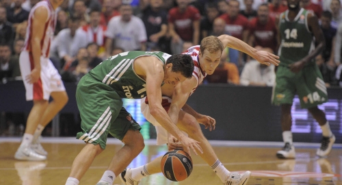 Crvena zvezda  - Panatinaikos / Foto: Aleksandar Dimitrijević | Foto: 