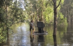 floods poplave