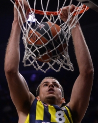 Nemanja Bjelica