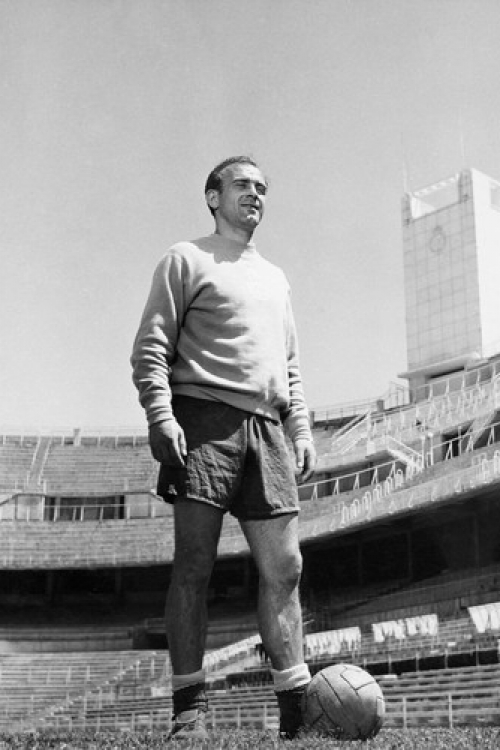 Alfredo di Stefano