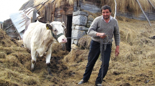 Jedina imovina: Milomir sa Šaruljom pred štalom