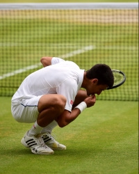 Da ga ne bije maler: Nole ponovo grickao travu