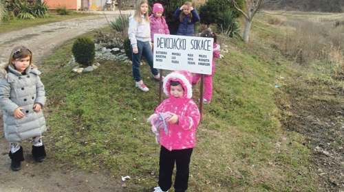 Poslednjih  godina rođeno 12  devojčica i  nijedan dečak