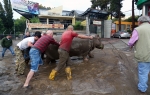 Poplave Tbilisi Foto: Profimedia