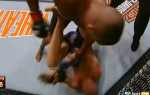 Alistair Overeem vs. Stefan Struve