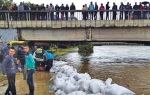 „U pomoć su pritekle i komšije, očekujemo karatiste Borca, ali se  nadamo da će to učiniti i navijači  i sugrađani“, kaže direkt