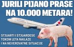 Prase u avionu