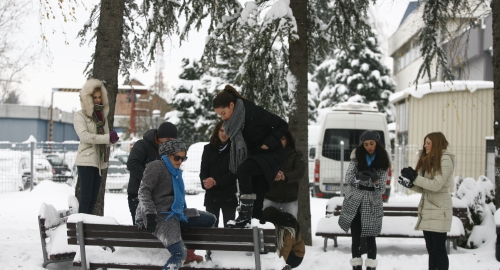 Prve Grudve Srbije Foto: Đorđe Kojadinović | Foto: 