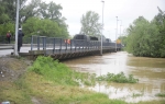 Poplave u Obrenovcu Foto: Dušan Milenković