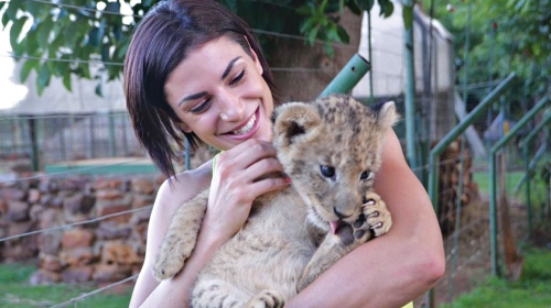 Češkanje na  srpski način:  Ivana Španović i bebe geparda i tigra