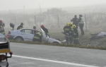 Lančani sudar na autoputu / Foto: Goran Srdanov