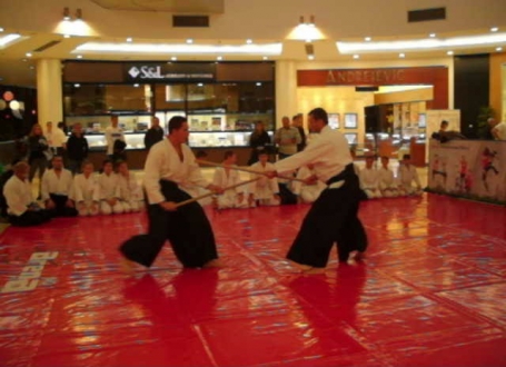 aikido1