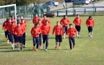 FK Crvena zvezda