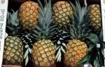 ananas